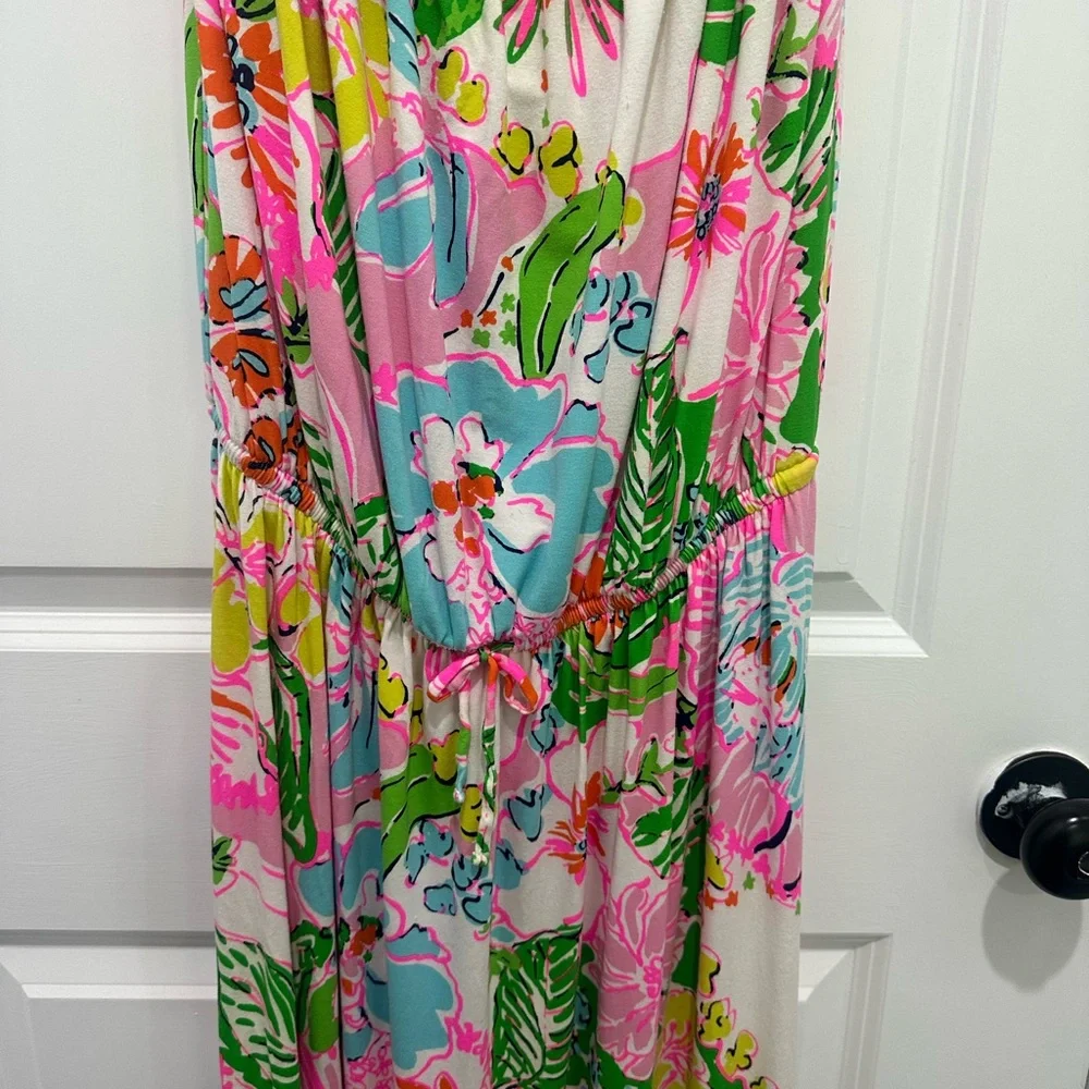 Lilly Pulitzer Nosy Posy dress Vibrant Floral Maxi Dress - Pink & Green - Picture 2 of 5